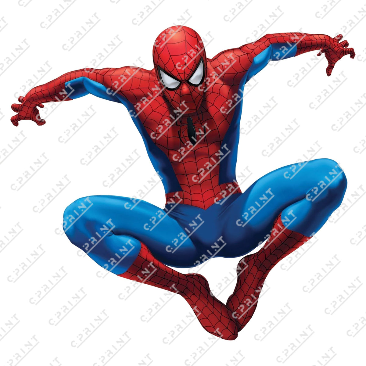 Spiderman cutout