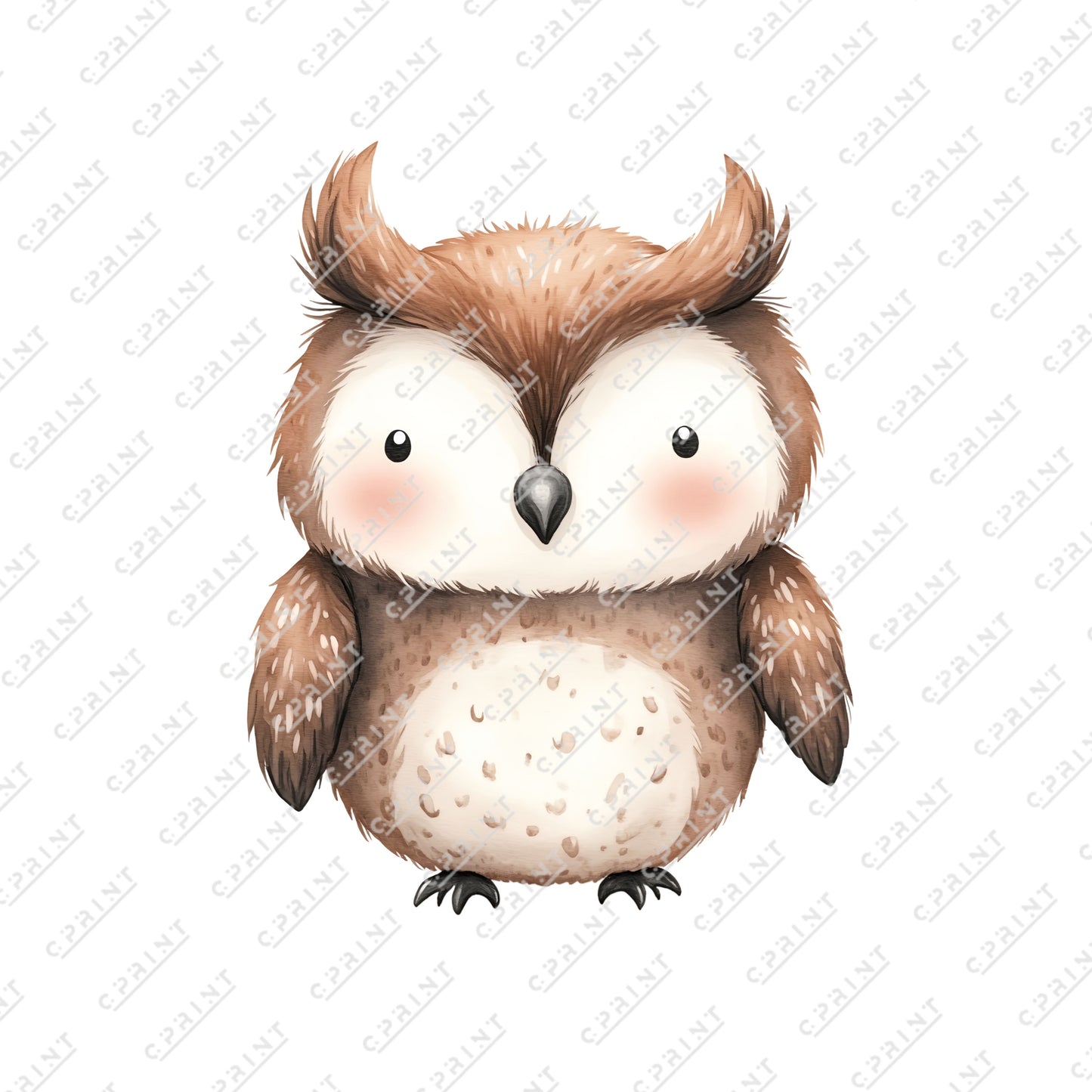 Cute Watercolor Baby Owl