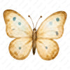Teddy Bear Picnic Butterfly