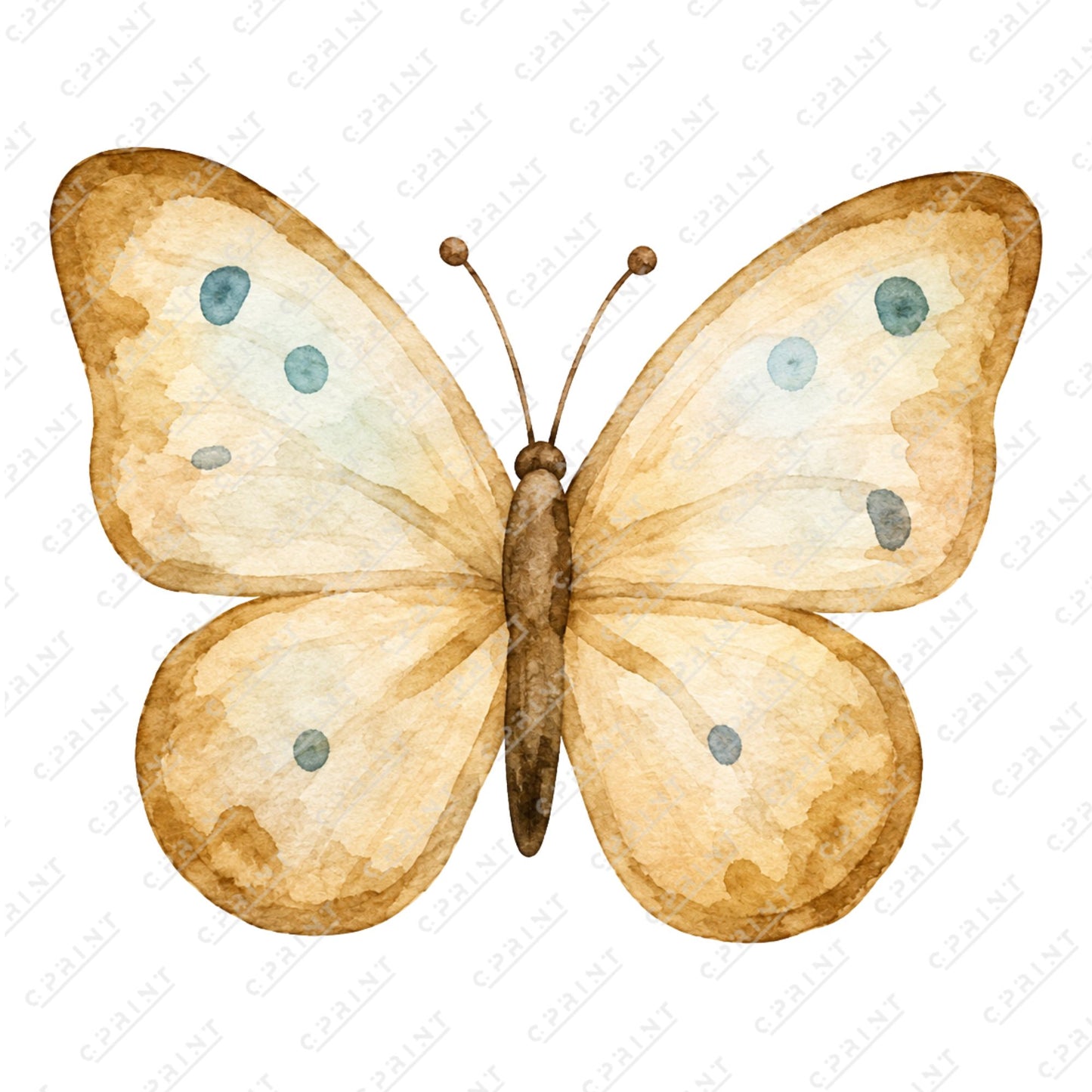 Teddy Bear Picnic Butterfly