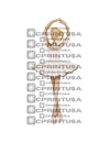 BALLET CUT OUT - C Print USA
