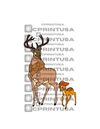 BAMBI FATHER CUT OUT - C Print USA