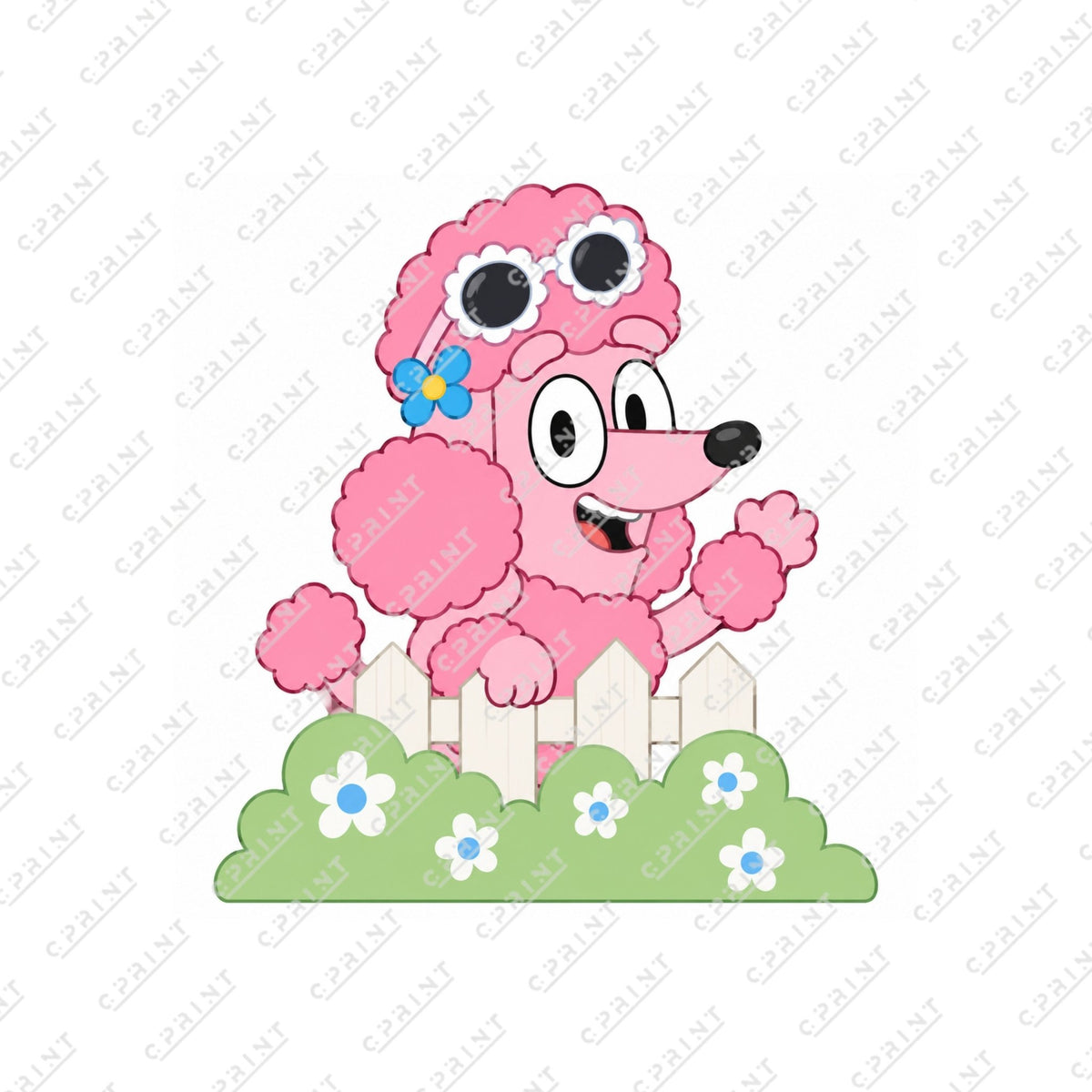 COCO BLUEY FRIEND - C Print USA
