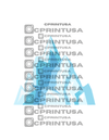 FROZEN CUT OUT - C Print USA