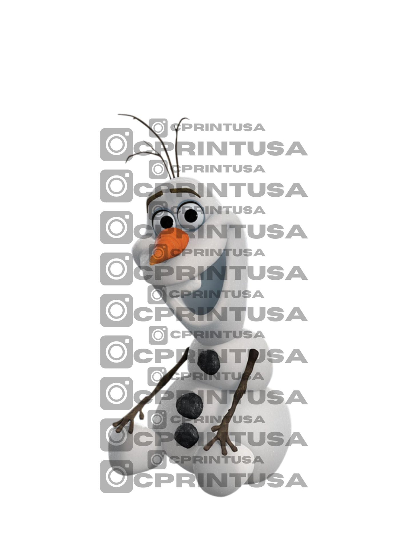 FROZEN CUT OUT - C Print USA