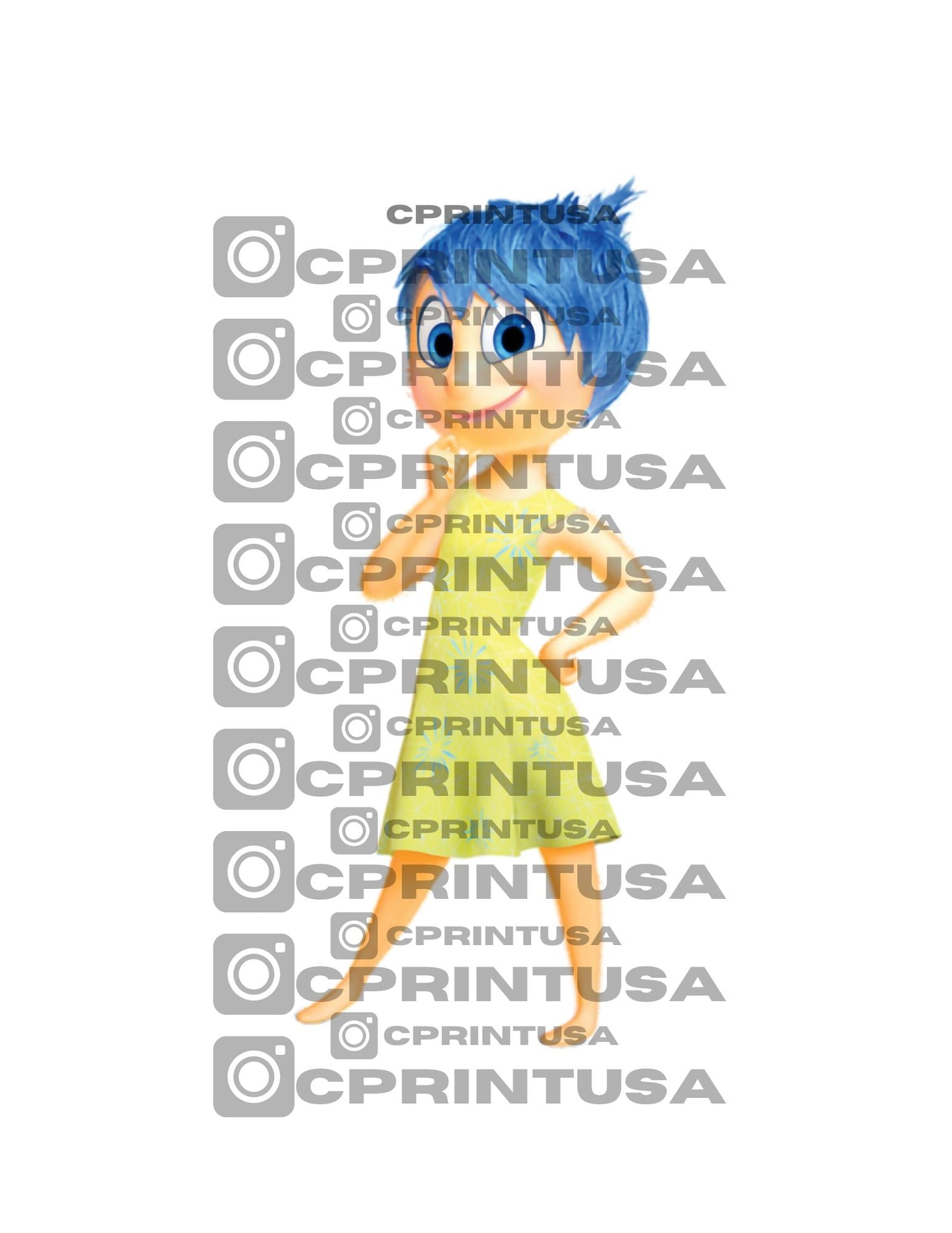 INSIDE OUT CUT OUT - C Print USA