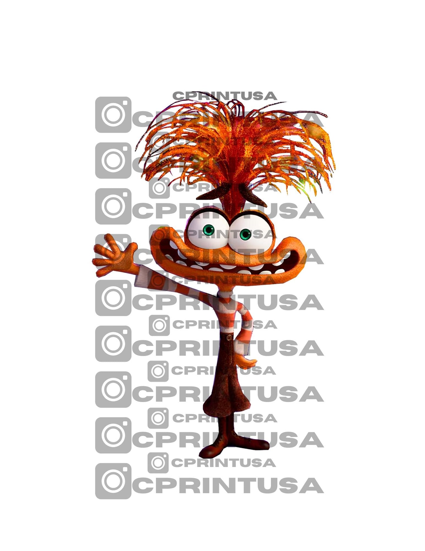 INSIDE OUT CUT OUT - C Print USA