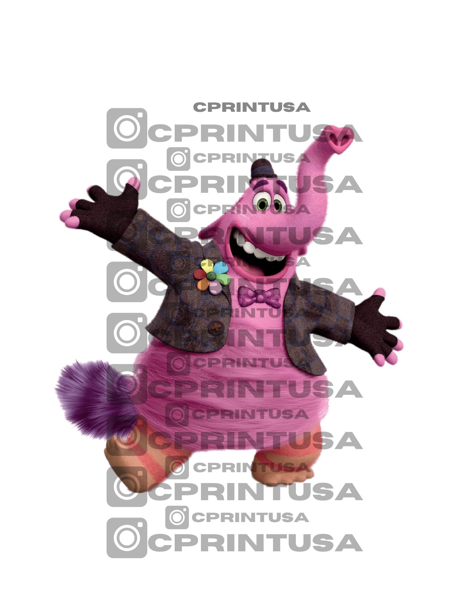 INSIDE OUT CUT OUT - C Print USA