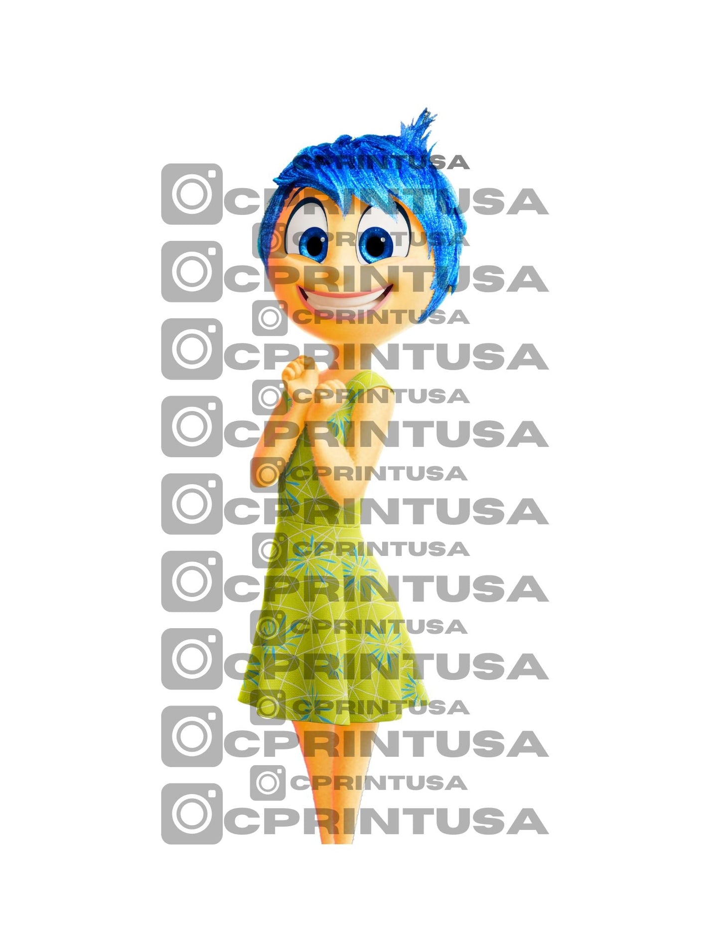 INSIDE OUT CUT OUT - C Print USA