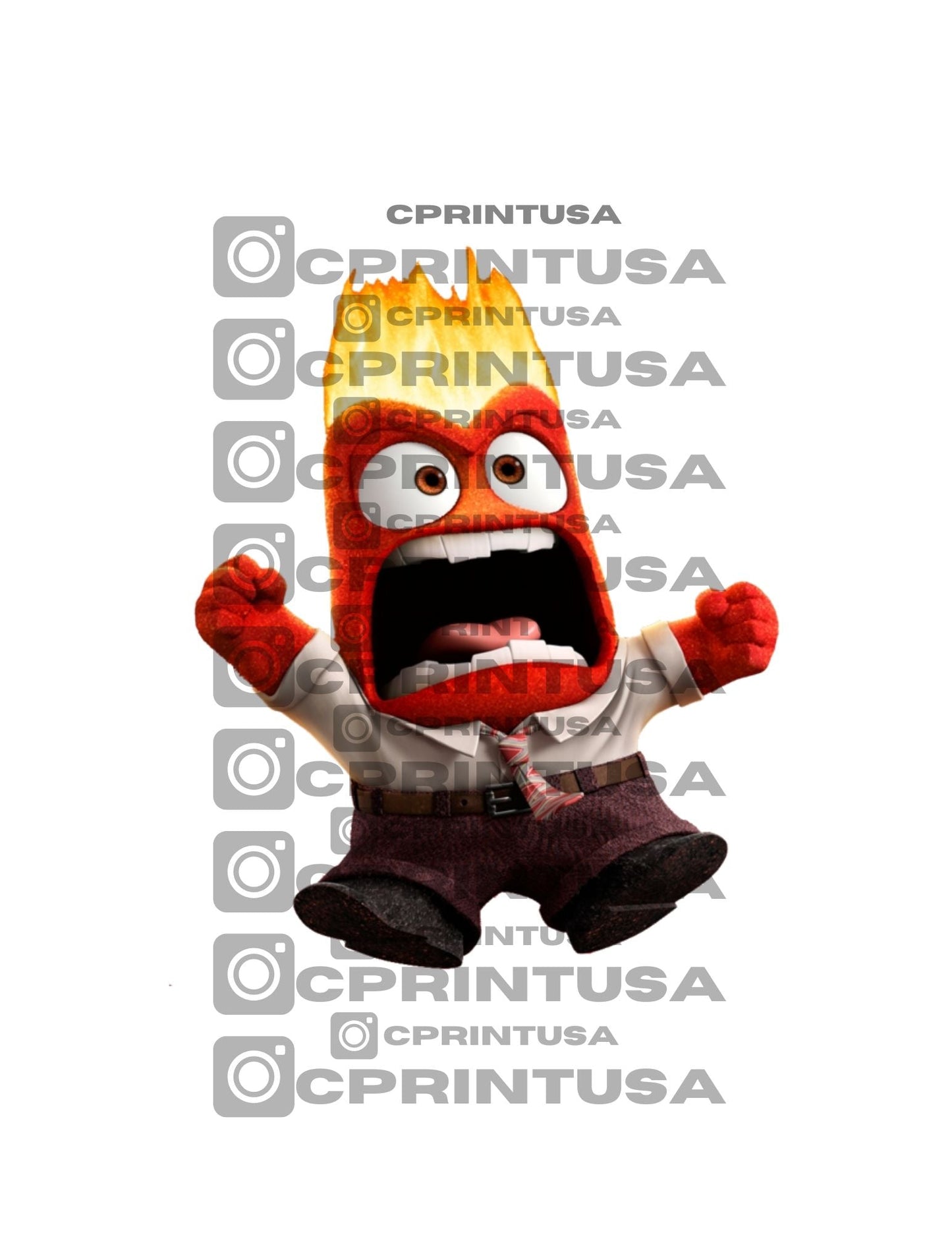 INSIDE OUT CUT OUT - C Print USA