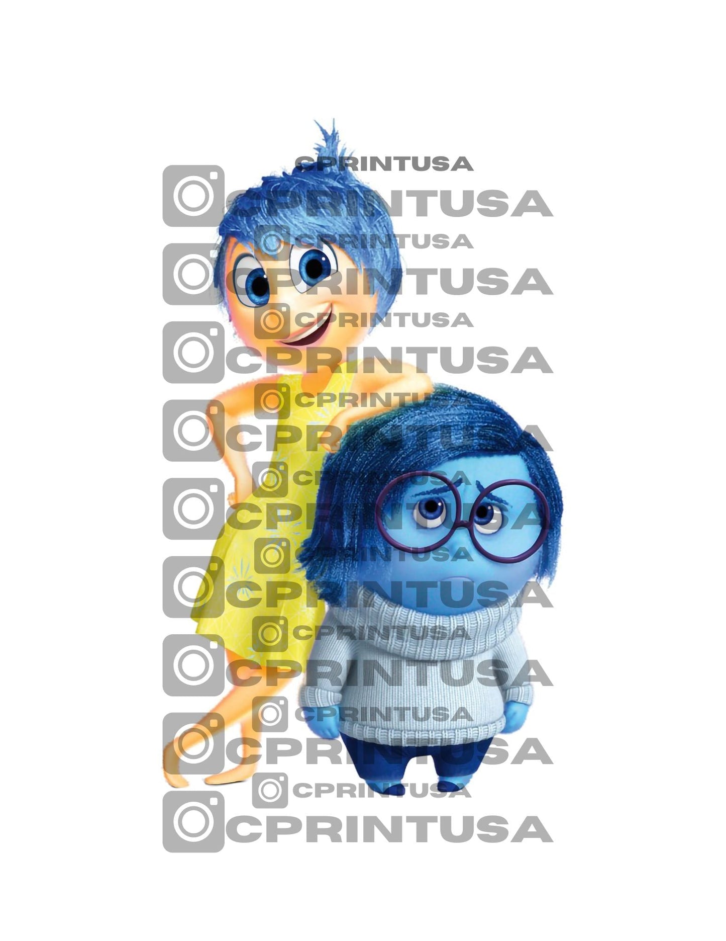 INSIDE OUT CUT OUT - C Print USA