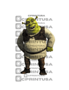 SHREK CUT OUT - C Print USA