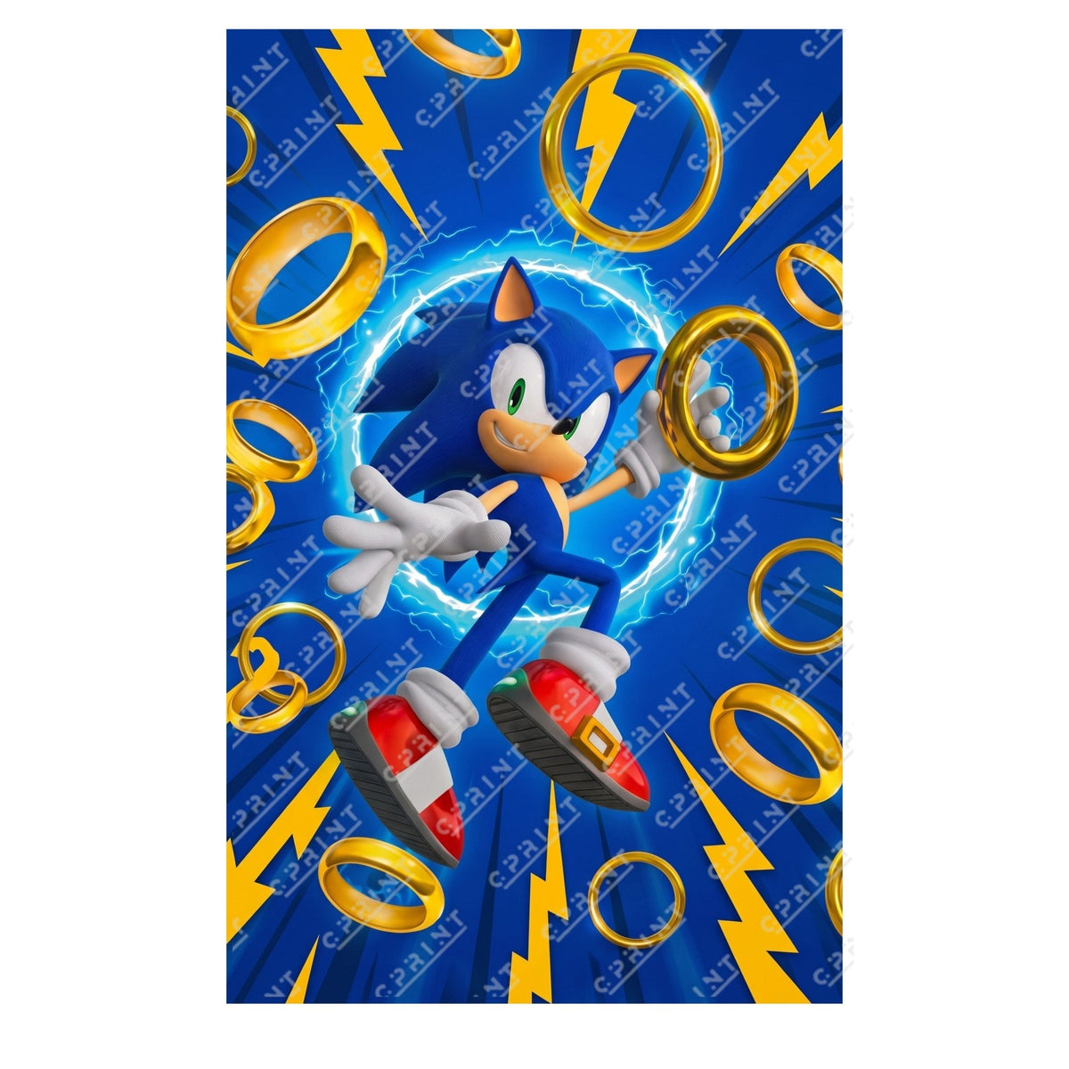 Sonic Backdrop - C Print USA