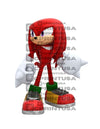SONIC CUT OUT - C Print USA