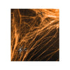 Spiderweb Halloween, Orange - PH60-005