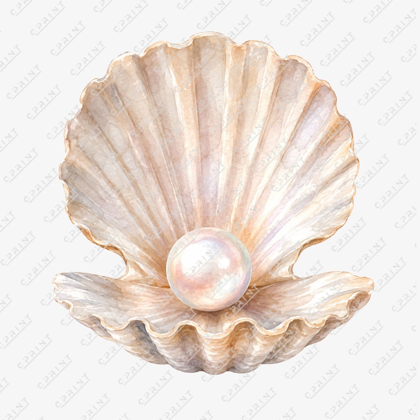 Pearl in Seashell Cutout