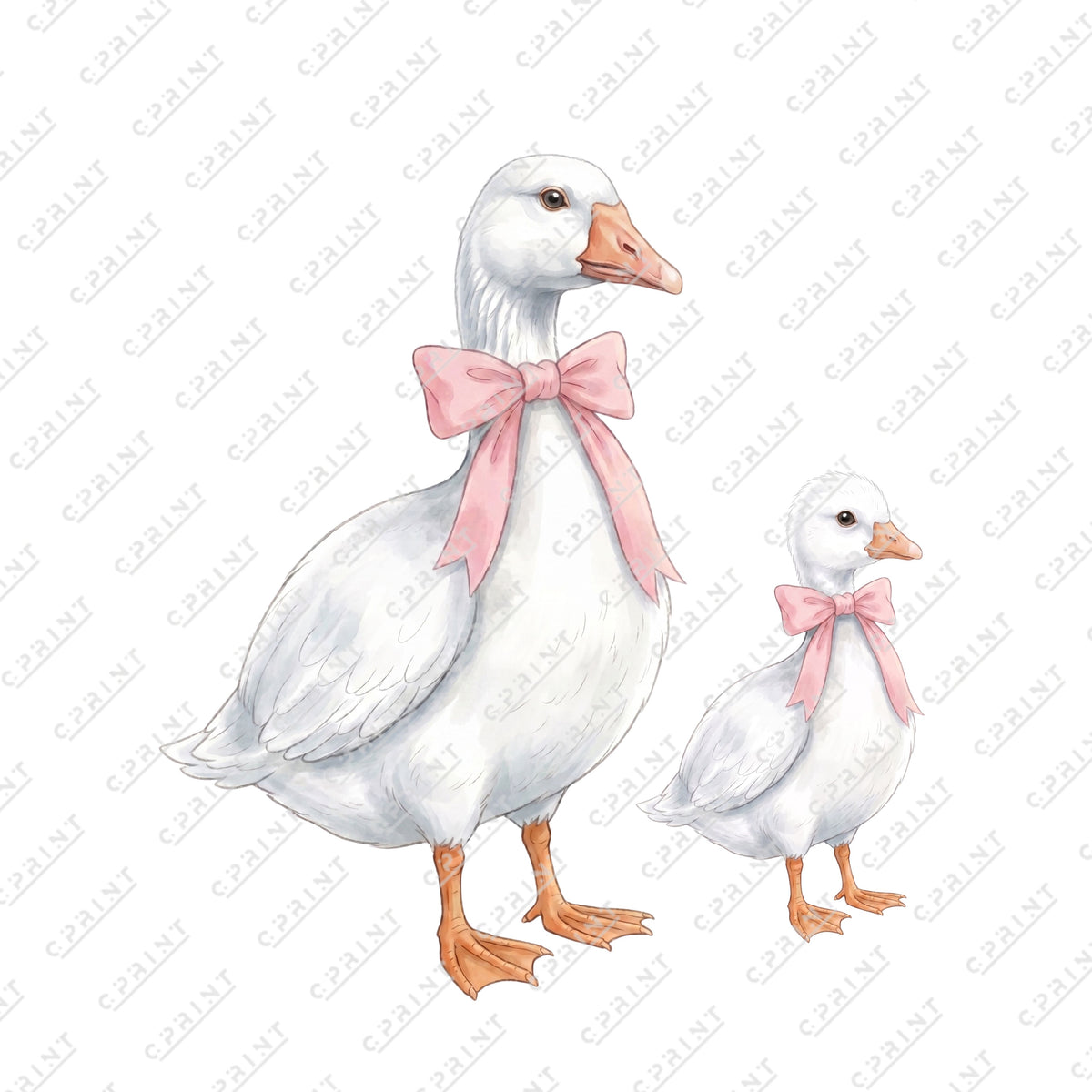 Cute Watercolor Geese