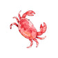 Watercolor Sea Creatures Clipart Bundle