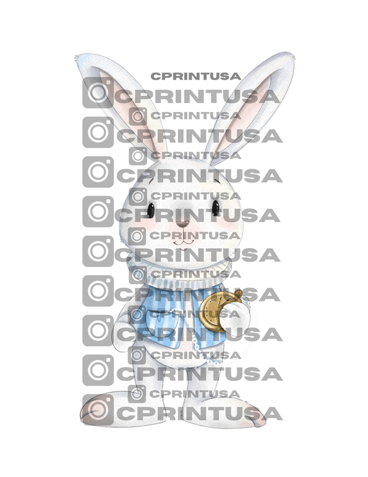 ALICE IN WONDERLAND CUT OUT - C Print USA
