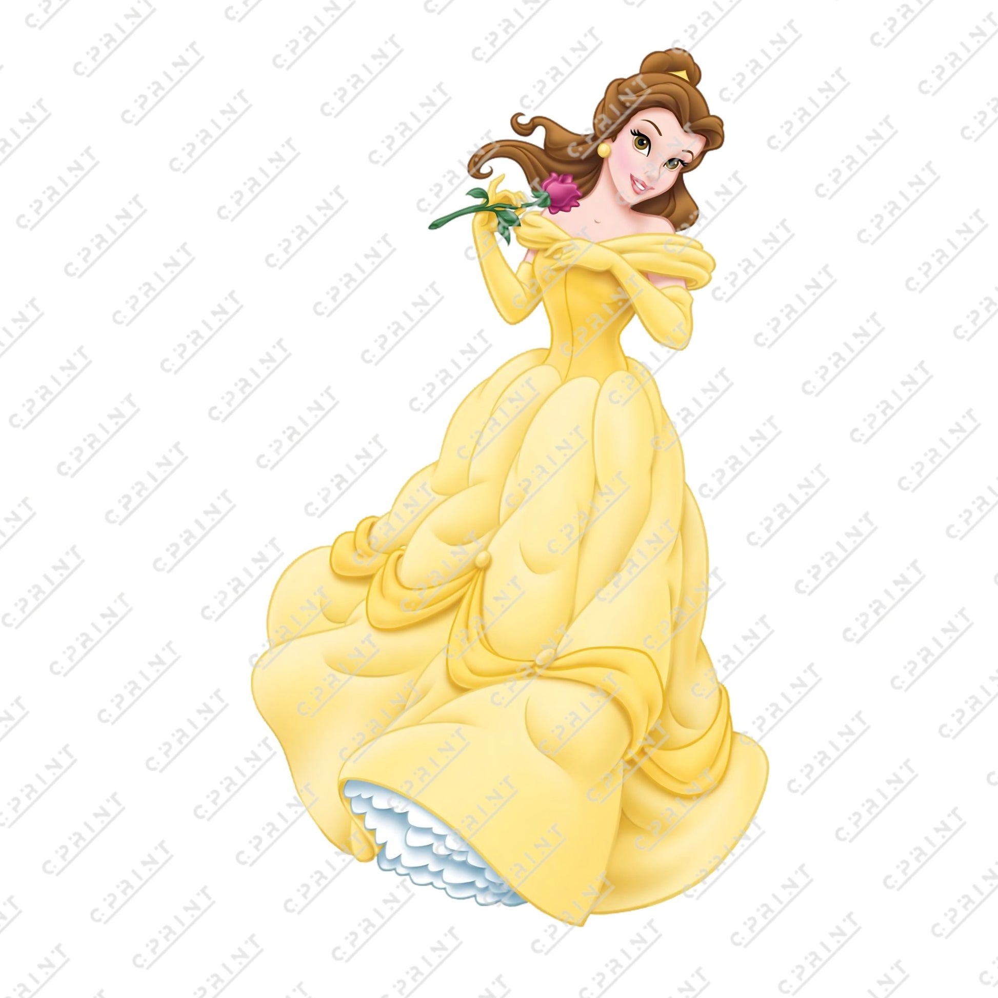 ANIMATED PRINCESS CUT OUT - C Print USA