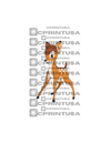 BAMBI CUT OUT - C Print USA