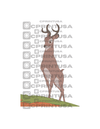 BAMBI FATHER CUT OUT - C Print USA