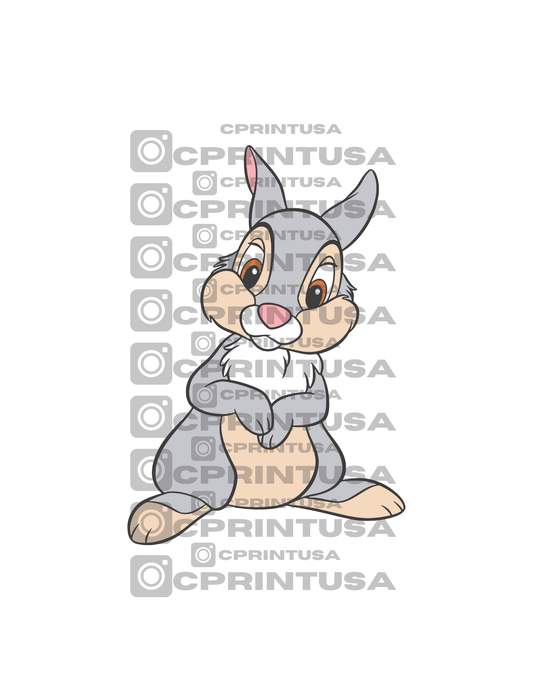 BAMBI THUMPER BUNNY CUT OUT - C Print USA