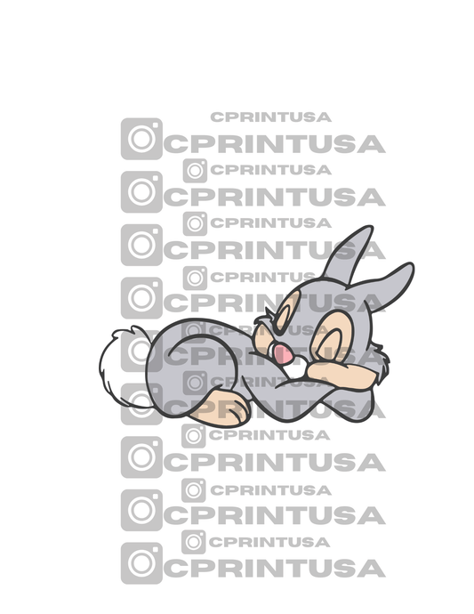 BAMBI THUMPER BUNNY CUT OUT - C Print USA