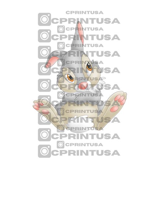 BAMBI THUMPER CUT OUT - C Print USA