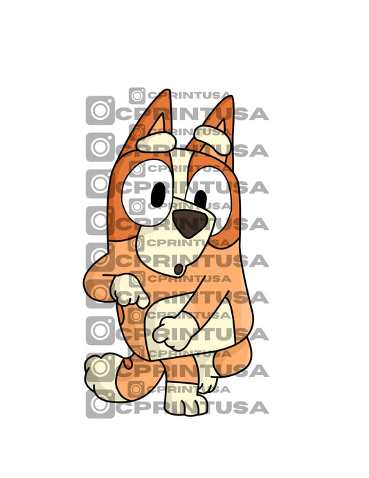 BINGO CUT OUT - C Print USA