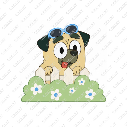 BUDDY BLUEY FRIEND - C Print USA