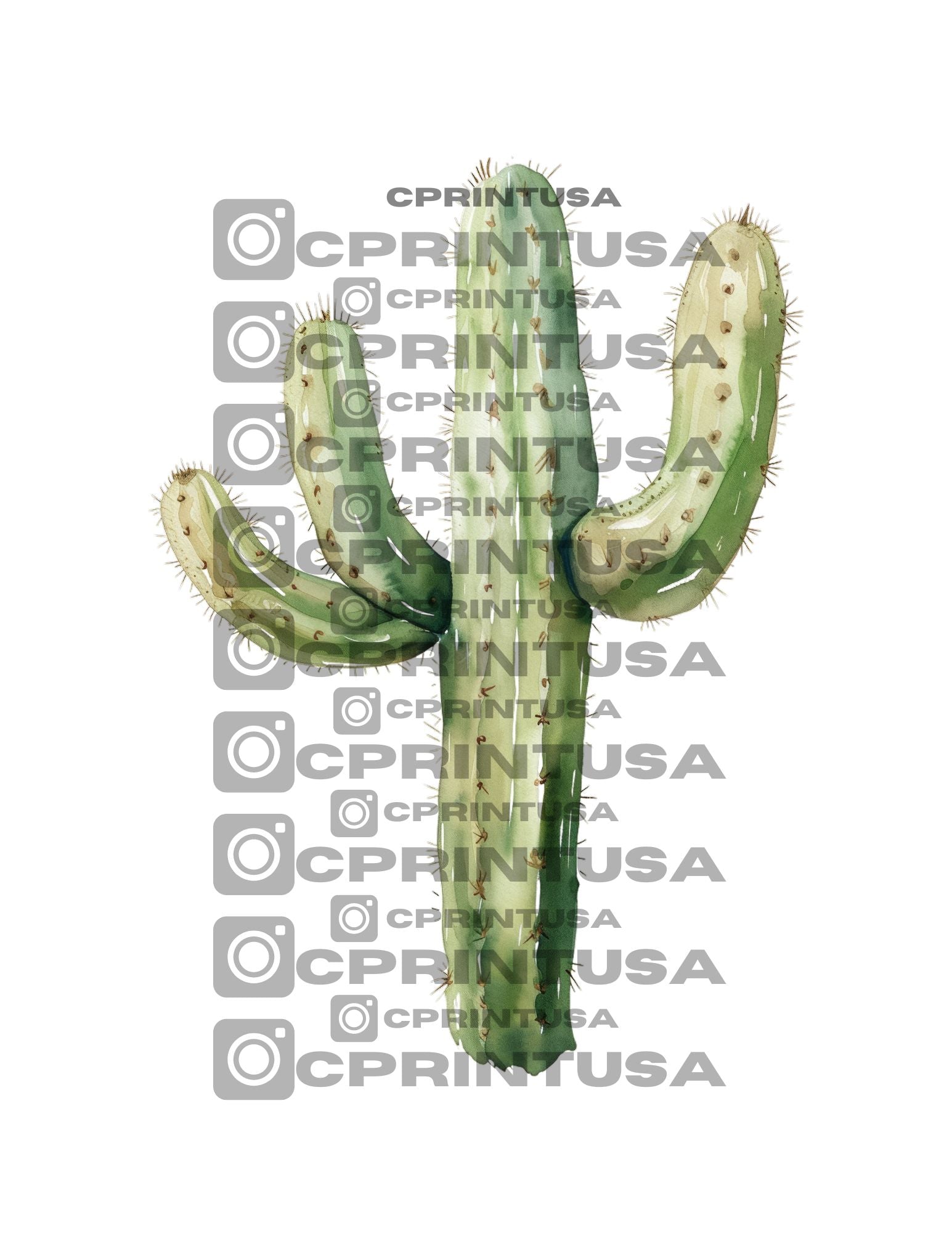 COWBOY CUT OUT - C Print USA