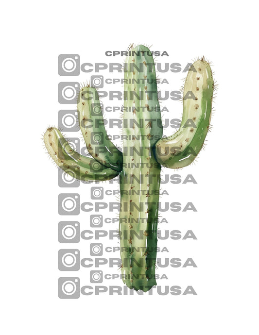 COWBOY CUT OUT - C Print USA