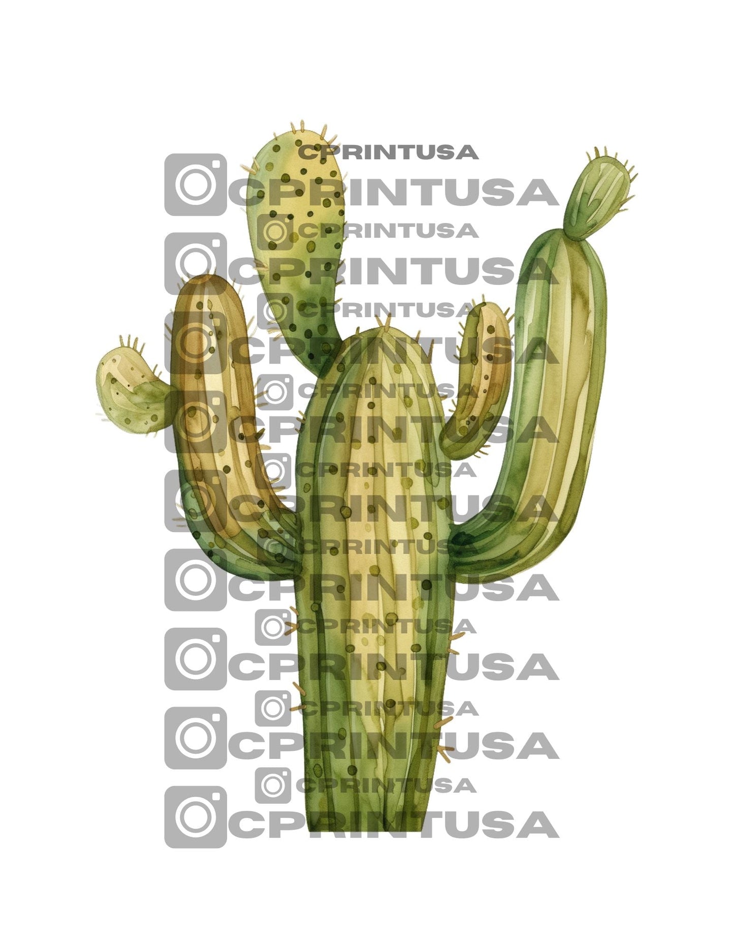 COWBOY CUT OUT - C Print USA