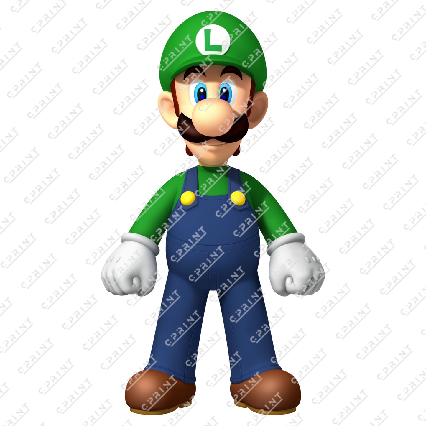SUPER MARIO - LUIGI CHARACTER