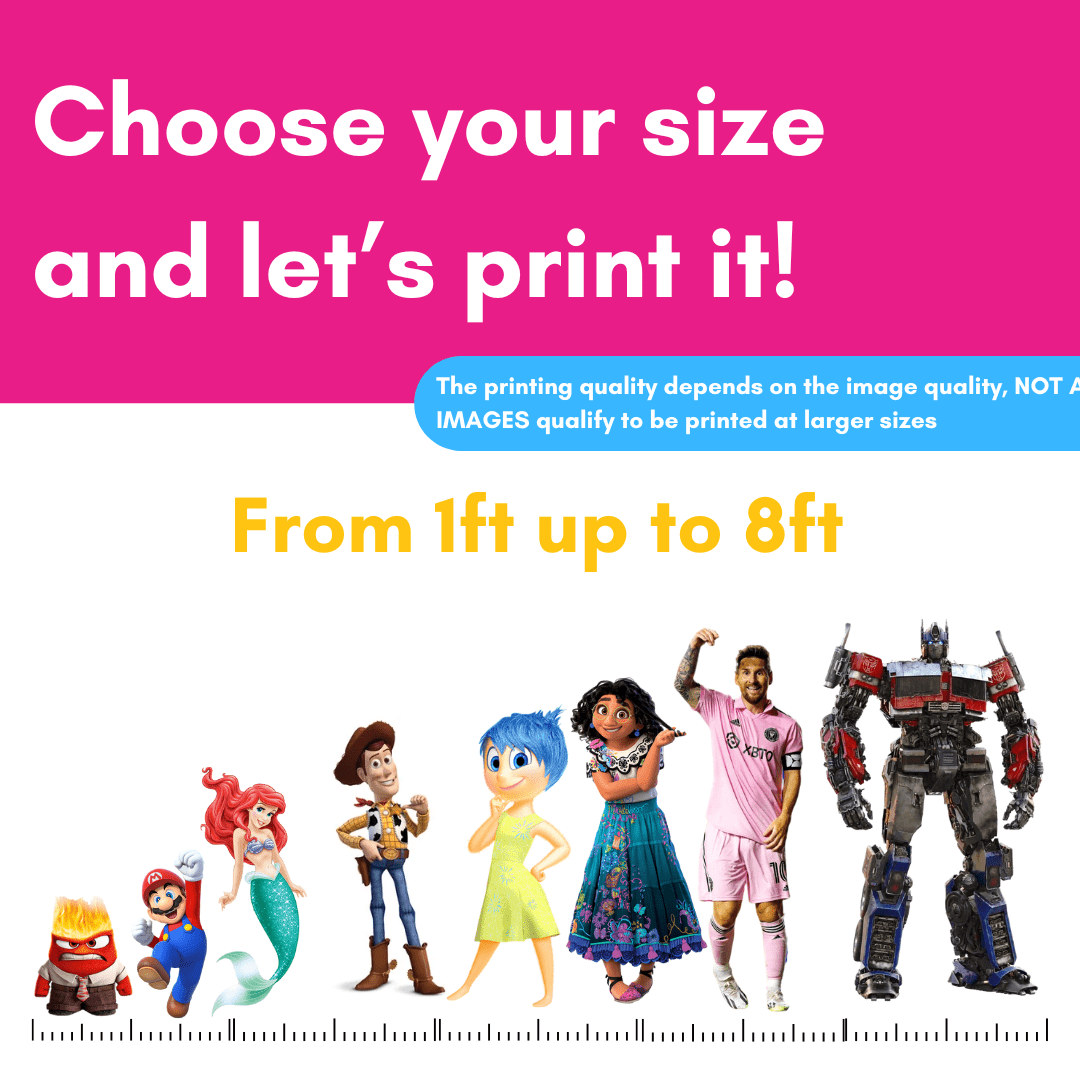 Custom Character cut - outs - C Print USA