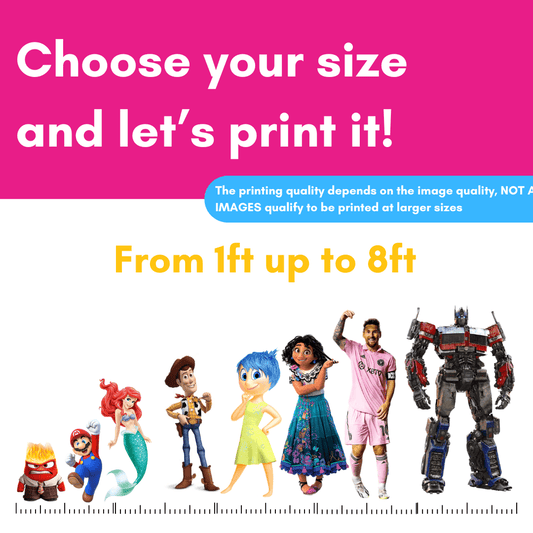 Custom Character cut - outs - C Print USA