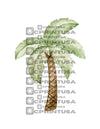 CUTE DINOSAUR CUT OUT - C Print USA