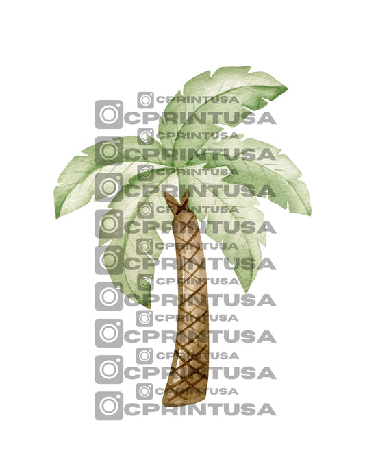 CUTE DINOSAUR CUT OUT - C Print USA