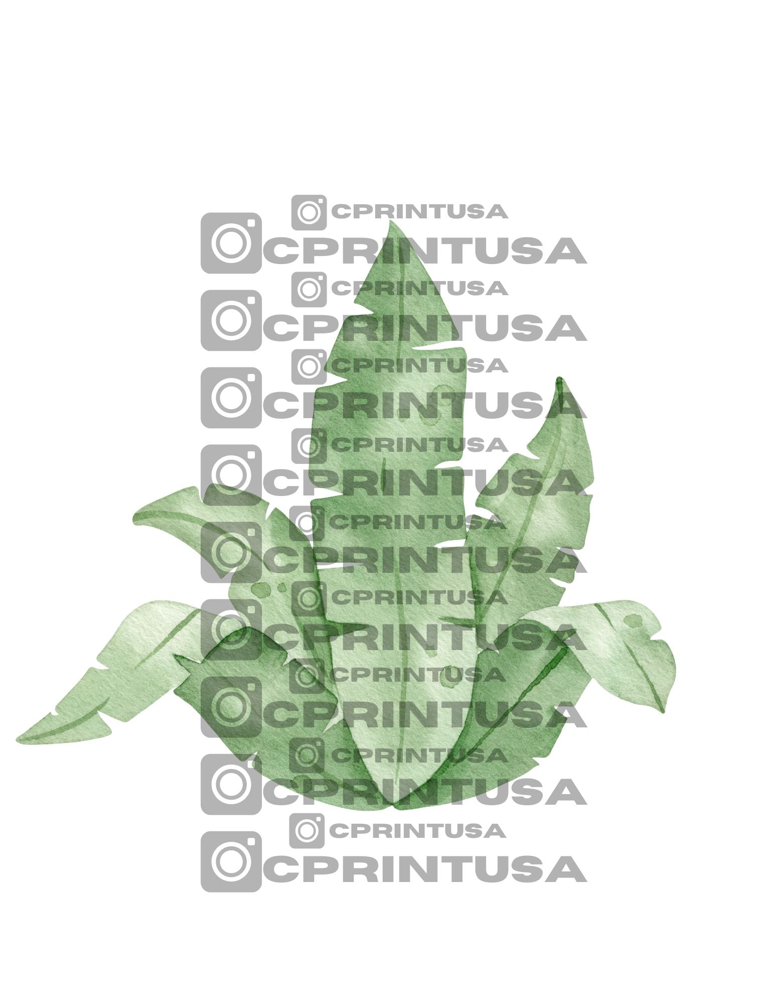 CUTE DINOSAUR CUT OUT - C Print USA