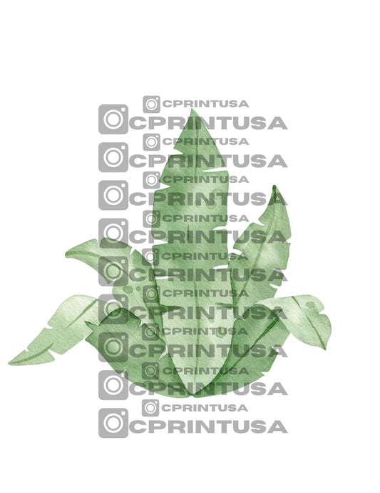 CUTE DINOSAUR CUT OUT - C Print USA