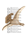 CUTE DINOSAUR CUT OUT - C Print USA