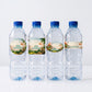 Dino Adventure- Customize Water Bottles Stickers - C Print USA