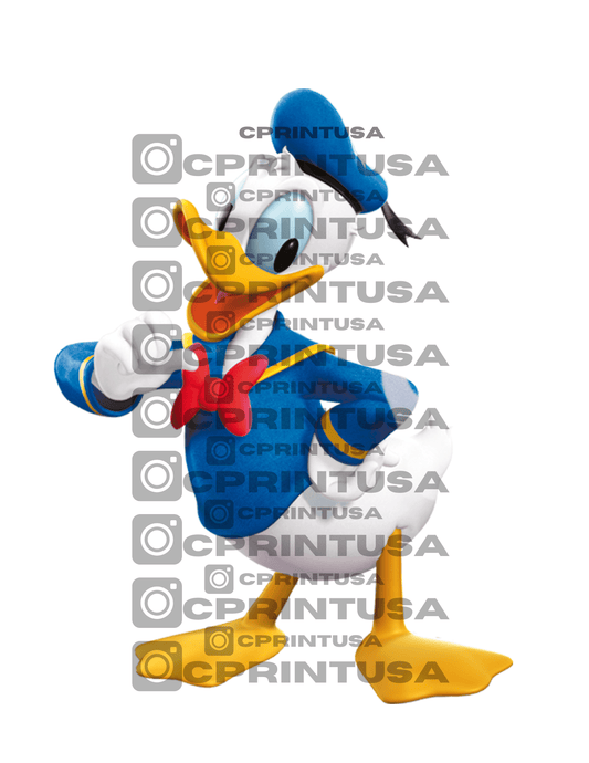 DONALD DUCK CUT OUT - C Print USA