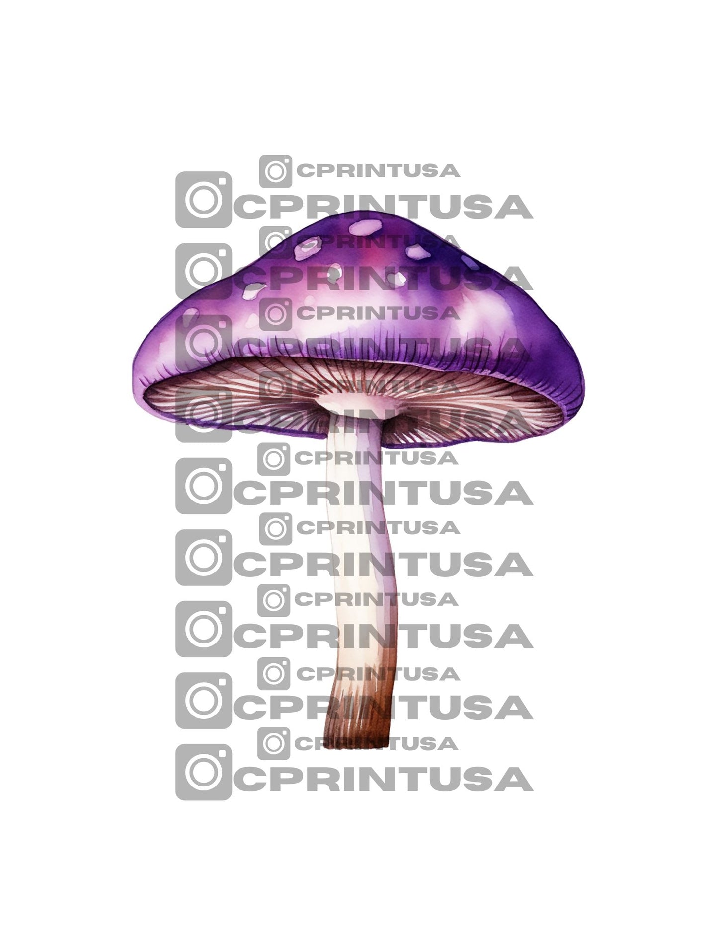 FAIRY CUT OUT - C Print USA