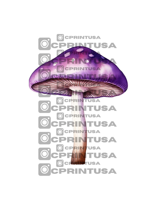 FAIRY CUT OUT - C Print USA
