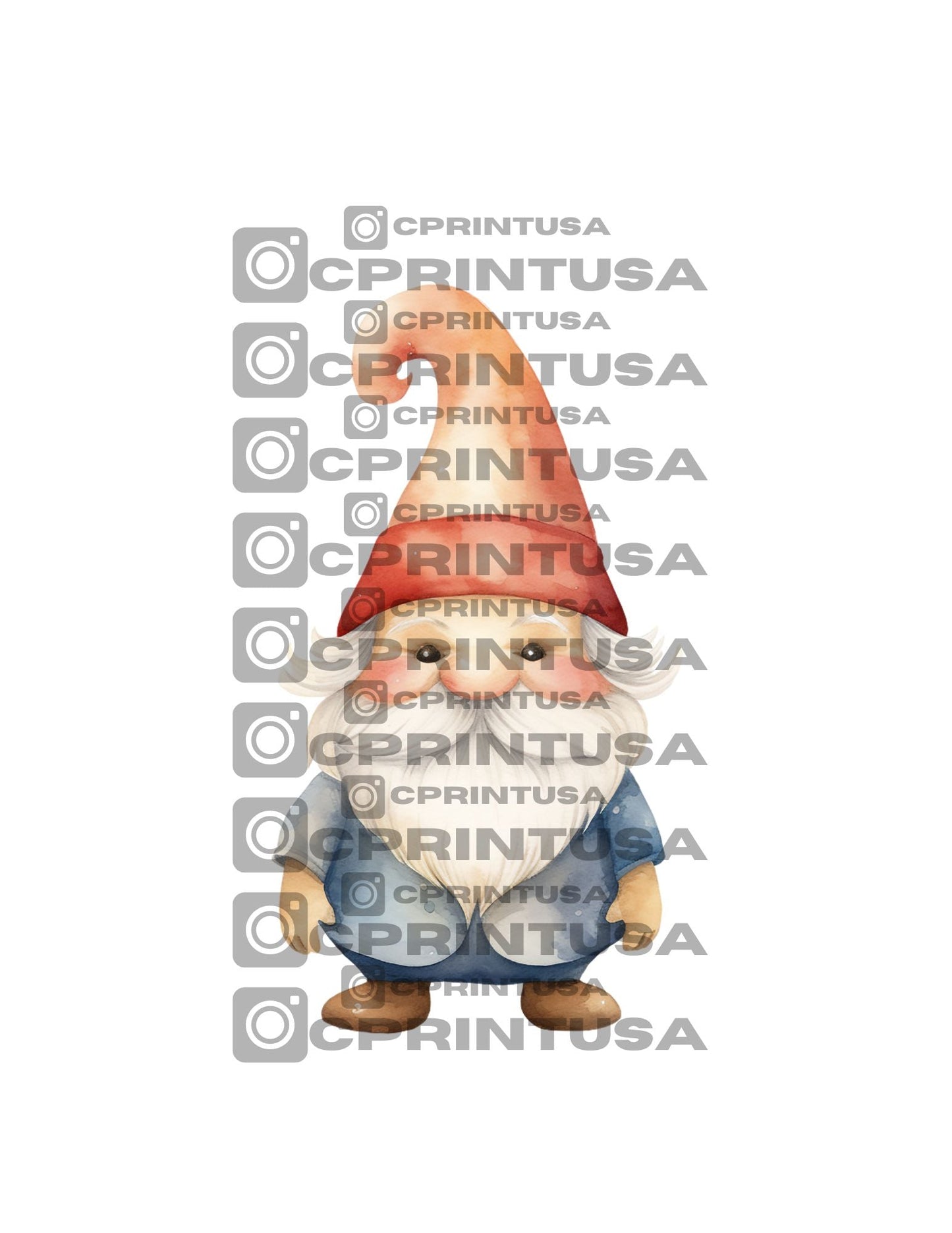 FAIRY CUT OUT - C Print USA