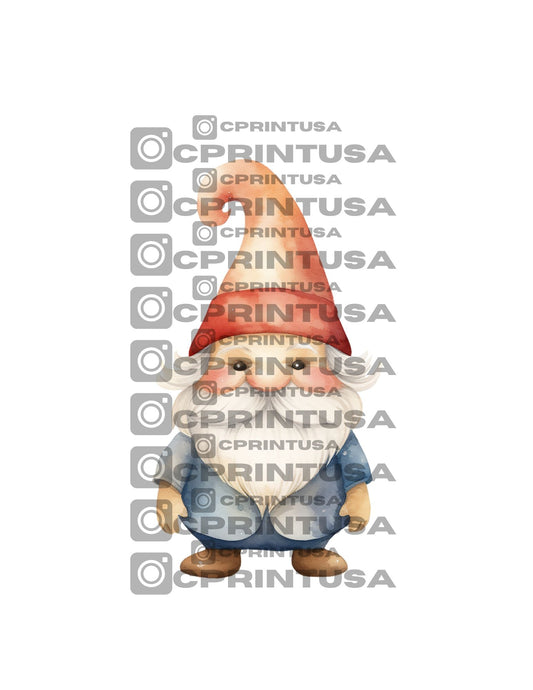 FAIRY CUT OUT - C Print USA