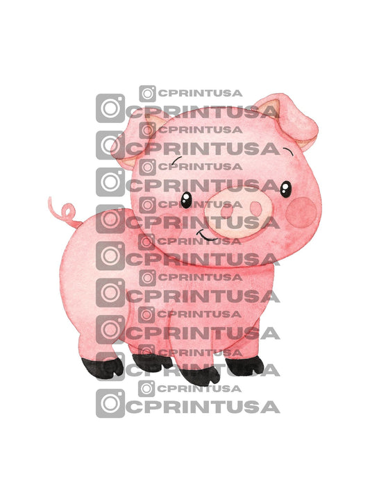 FARM CUT OUT - C Print USA