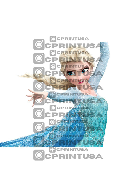 FROZEN CUT OUT - C Print USA